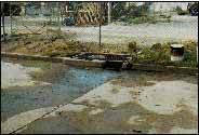 Enviromental Services